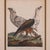 Traditional John Pass After Reinhold Eagle Engravings, c.1805 - Set of 2 For Sale - Image 3 of 6