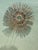 Vintage MCM Wrought Iron Sunburst For Sale - Image 9 of 12