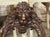 Brown Oversized French Carved Walnut Study of a Bronze Door Knocker, 19th Century For Sale - Image 8 of 16