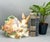 Captivating early 21st-century Fitz & Floyd Botanical Bunny cookie jar featuring a mother rabbit surrounded by her...