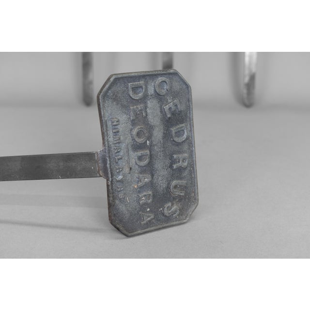 Gray Antqiue Plant Labels, 1900, Set of 5 For Sale - Image 8 of 10