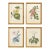 Wood Framed Wall Decor Floral - Set of 4 For Sale