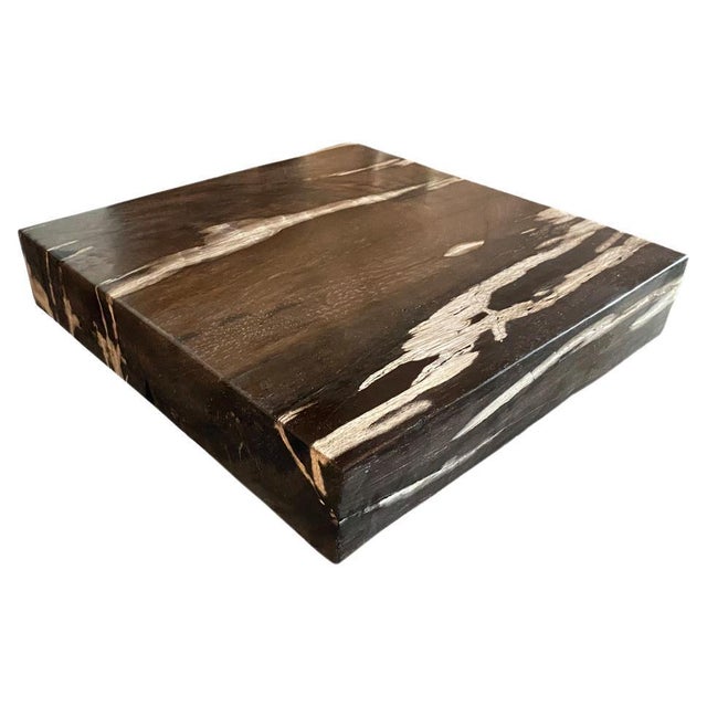 Beautiful petrified wood black and white toned slab. This can also be used to elevate a wooden side table by placing it on...