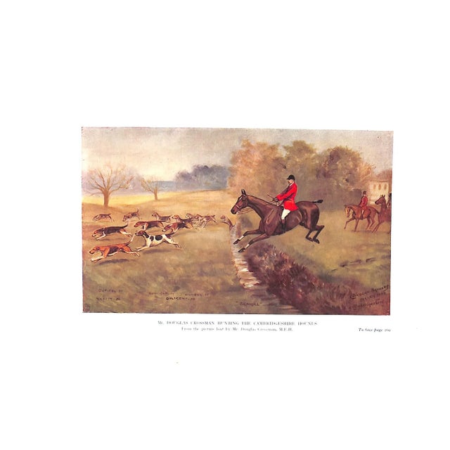 Paper "The Foxhound of the Twentieth Century the Breeding and Work of the Kennels of England" 1914 Bradley, Cuthbert For Sale - Image 7 of 13