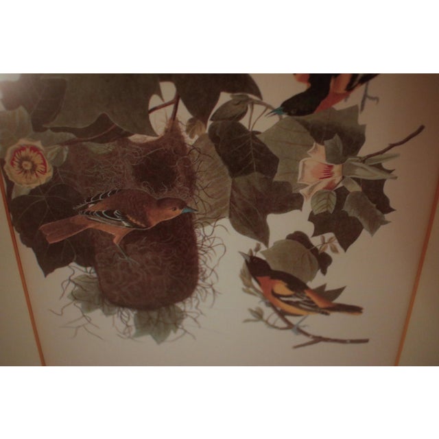 Pair of Original Mid-Century Avian Art Lithographic Prints Styled After Audubon, Framed For Sale - Image 10 of 17