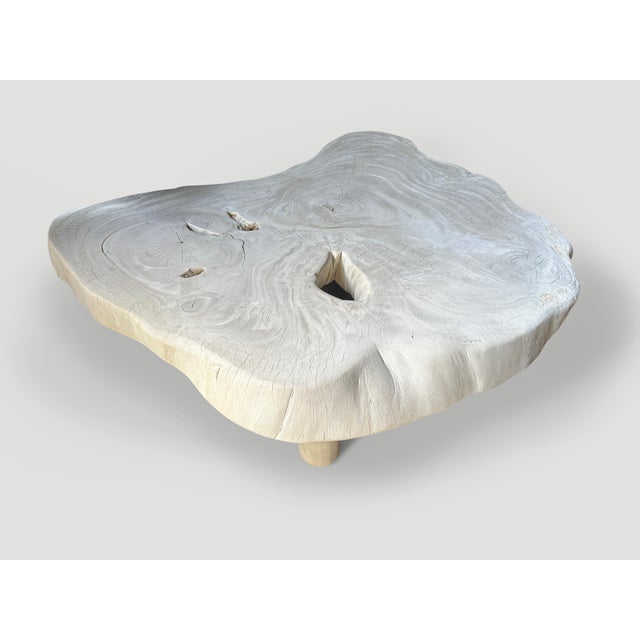 Mid-Century Modern Andrianna Shamaris Amorphous Mid Century Style Bleached Coffee Table For Sale - Image 3 of 5