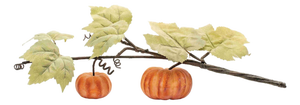 Fall Pumpkin Vine (Set of 2)