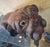 Carved Wooden Dog-Signed For Sale - Image 4 of 8