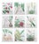 Botanical Prints, 1837, Paper, Set of 9 For Sale