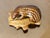 Contemporary 1960s Artisan Signed Wood Carving Of. A Badger Figurine For Sale - Image 3 of 4