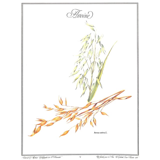 "Un Jardin Pour La Peau" 1986 Delaveau, Pierre/ Clair, Genevieve For Sale - Image 9 of 11