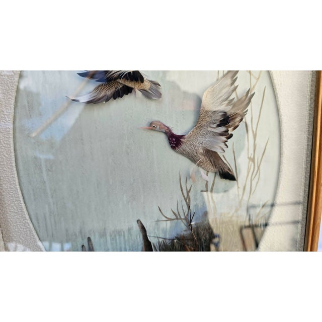 Ducks in Flight Diorama, 1970s, Framed For Sale - Image 3 of 8