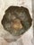 Large Scale Vintage Palm Beach Style Brass Seashell Planter For Sale - Image 14 of 15
