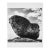 "Yosemite: Fall #5" - 1992 Gelatin Silver Print by Jacques Gael Cressaty For Sale