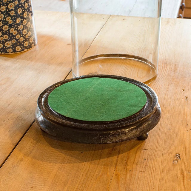 1880's Tall Antique Taxidermy Dome For Sale - Image 4 of 9