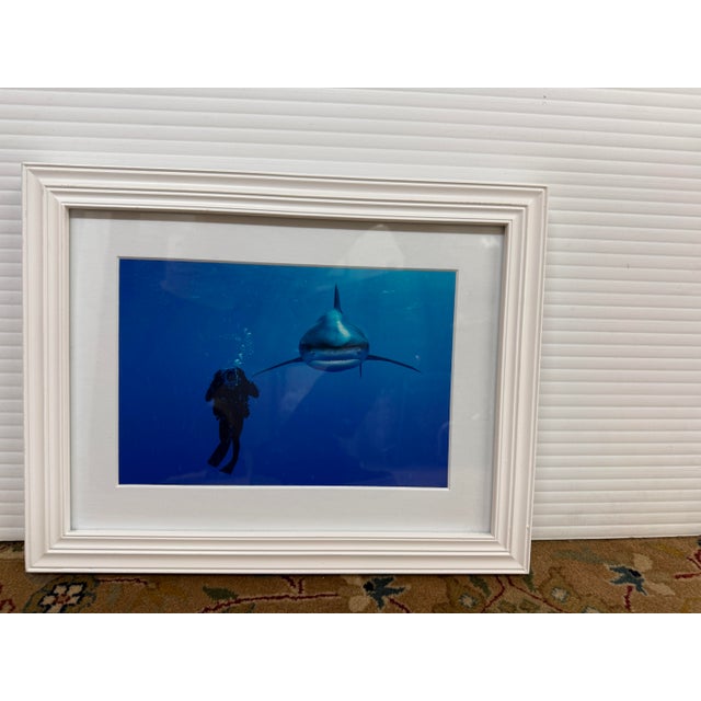 Design Plus Gallery presents a Color Photograph of a Sharks on Assignment by Brian Skerry. National Geographic Explorer...