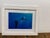 Design Plus Gallery presents a Color Photograph of a Sharks on Assignment by Brian Skerry. National Geographic Explorer...