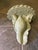 Pistachio Vintage Wall Bracket With Carved Shell Relief For Sale - Image 8 of 9