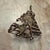 Wire-Wrapped Pendant Featuring a Raw Gemstone Quartz Silver-Plated For Sale In San Diego - Image 6 of 15