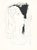 Artist: Pablo Picasso Country: Spain Medium: Heliogravure 16 Marks: Not signed, not numbered Paper Size: 15 x 11 inches on...