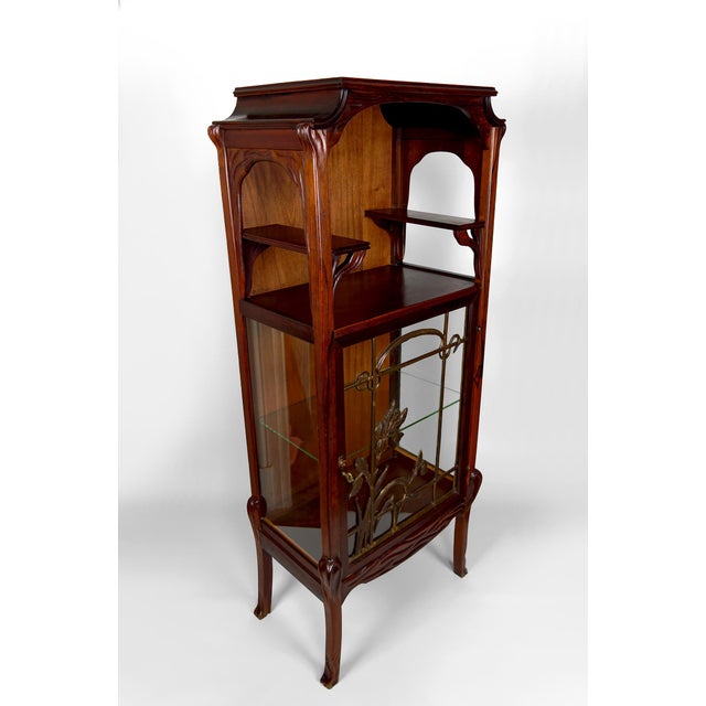Metal Art Nouveau Vitrine / Display Cabinet in Bronze and Carved Wood with a Lacustrine Theme, France, 1900s For Sale - Image 7 of 18