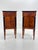 Pair of Early 19th Century Italian Empire Walnut Commodini With Ebonized Columns For Sale - Image 13 of 13