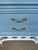Sky Blue Vintage Palm Beach Regency Ficks Reed Attributed Faux Bamboo Rattan Nightstands - Newly Painted - A Pair For Sale - Image 8 of 11
