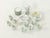 Midsummer Set by Marguerite Walfridson for Ikea, Set of 36 For Sale - Image 12 of 12