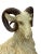 Late 20th Century Vintage Mid Century, Hollywood Regency, Neo Classic, Ceramic Sculptural Ram For Sale - Image 5 of 7