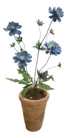 Example of Decorative Objects