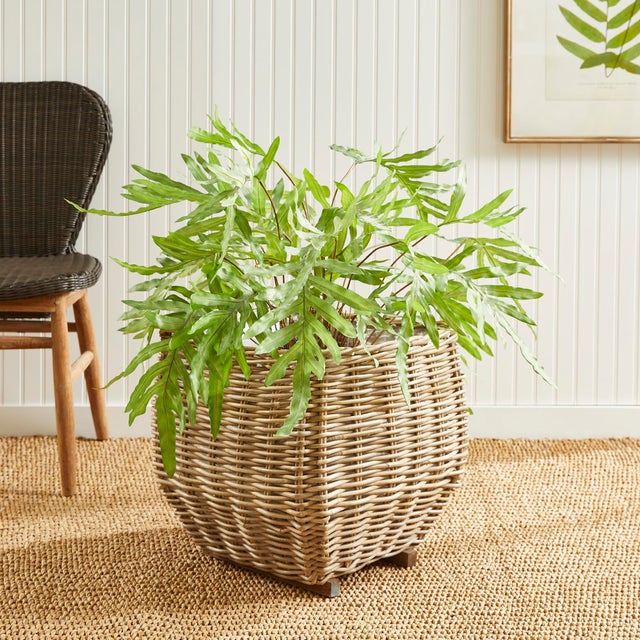 Kenneth Ludwig Chicago Sylvie Square Taper Basket Large For Sale - Image 4 of 7