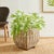 Kenneth Ludwig Chicago Sylvie Square Taper Basket Large For Sale - Image 4 of 7