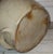 Ceramic 19th Century Batter Jug With Spout For Sale - Image 7 of 7