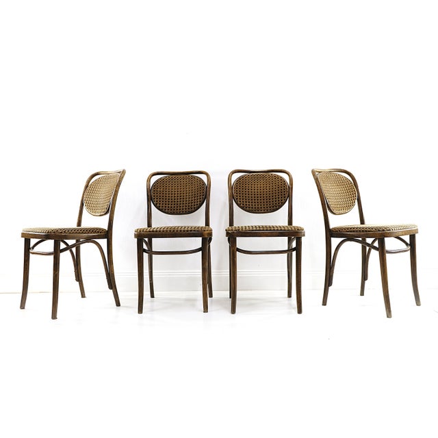 Brown Vintage Bentwood Chairs, 1970s, Set of 4 For Sale - Image 8 of 8