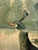 Wood Vintage Hand-Painted Peacock & Landscape Four-Panel Folding Screen For Sale - Image 7 of 16