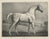 After Chalon, Mambrino Thoroughbred Horse Portrait, 1840, Lithograph For Sale