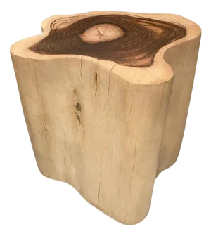 Andrianna Shamaris Rare Sono Wood Oversized Side Table or Pedestal