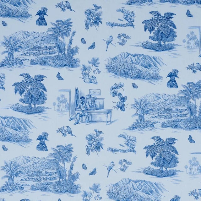 Sample - Schumacher x Victor Glemaud Toussaint Toile Fabric in Blue & Sky For Sale