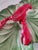 Nautical 1940s Brad Keeler Lobster Cabbage Dish For Sale - Image 3 of 11