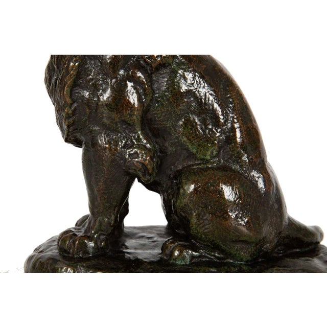 Bronze Sculpture “Lion Assis No. 2”, Antoine Louis Barye Ca. 1880 For Sale - Image 12 of 13