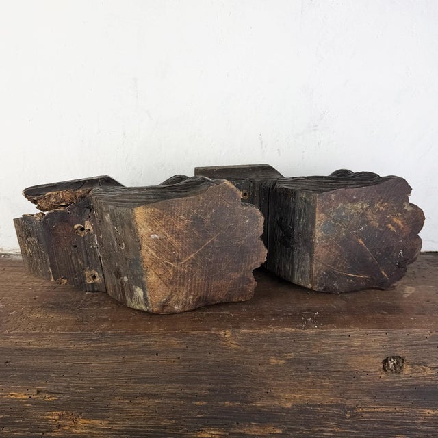 Large Italian Architectural Salvage Lion Feet, Set of 2 For Sale - Image 11 of 13