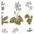 Lauren Servati Textiles, Primula Wallpaper in Blues For Sale