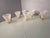 Wall Lamps in Brass and Canne Torte Murano Glass from Manifattura Di Murano, Set of 2 For Sale - Image 9 of 9