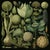 Set of 15 - 90' X 54' Evergreen Organic Modern Gallery Wall Installation Botanical Prints - Dark Green, Unframed For Sale - Image 10 of 17
