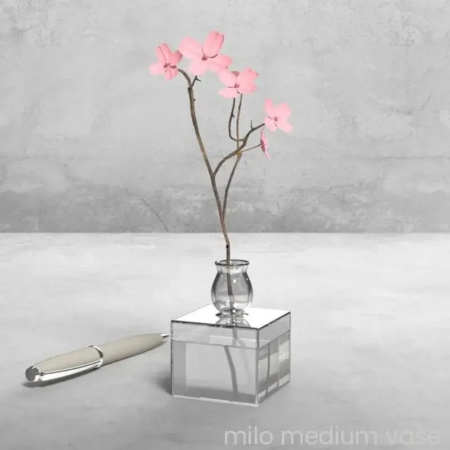 Milo Square Transparent Vases by Mason Editions, Set of 3 For Sale - Image 4 of 6