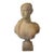 19th Century Italian Classical Alabaster Bust For Sale - Image 9 of 9