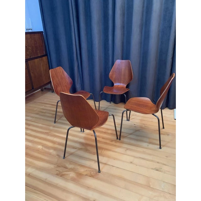 1950s Chairs by Herbert Hirche for Jofy Stalmobler, Denmark, 1950s, Set of 4 For Sale - Image 5 of 16