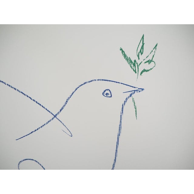 Pablo Picasso, La colombe de la Paix, Lithograph For Sale - Image 5 of 7