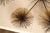 Curtis Jere Curtis Jeré Mid Century Modern Urchin Wall Sculpture For Sale - Image 4 of 18