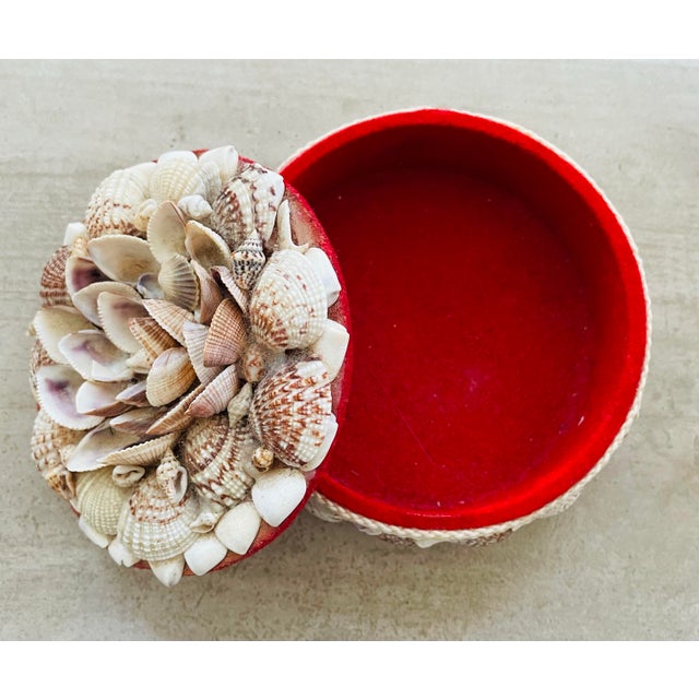 American Vintage Seashell Small Round Jewelry Trinket Box For Sale - Image 3 of 9